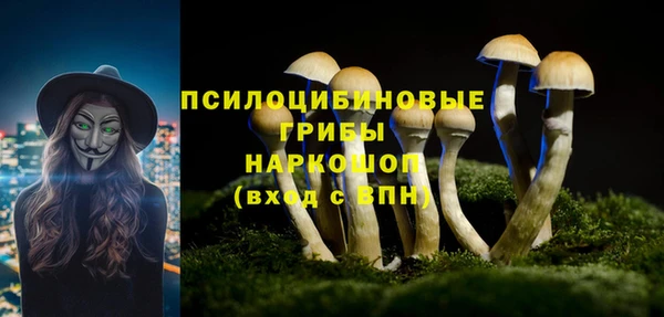 spice Новокубанск