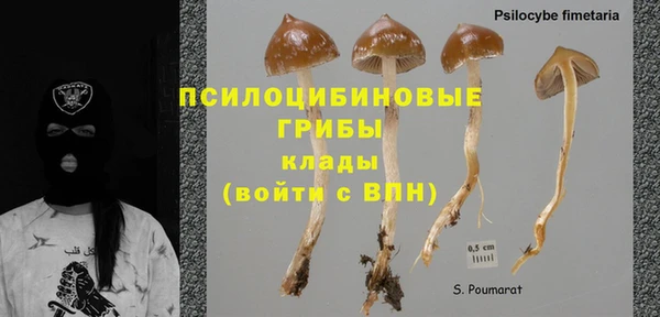 стафф Новодвинск