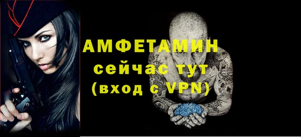 стафф Новодвинск