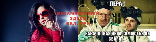 шишки Новозыбков