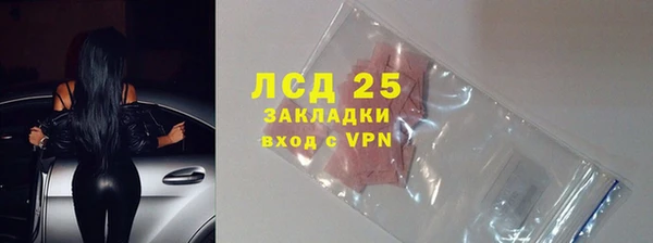 шишки Новозыбков