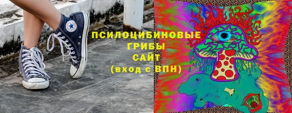 стафф Новодвинск
