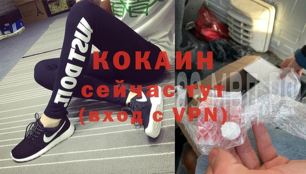 шишки Новозыбков