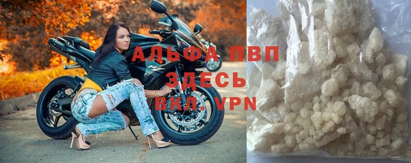шишки Новозыбков