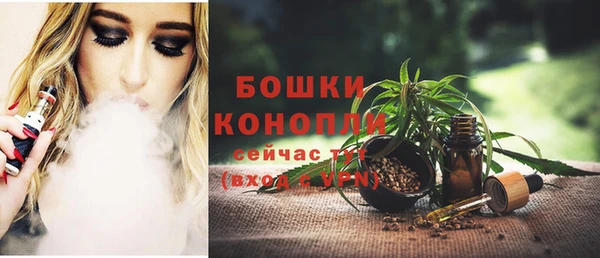 шишки Новозыбков