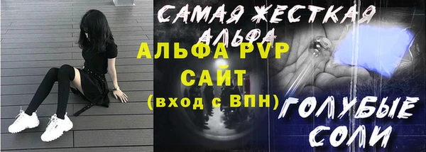 шишки Новозыбков