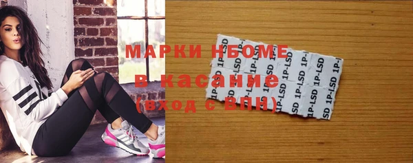стафф Новодвинск