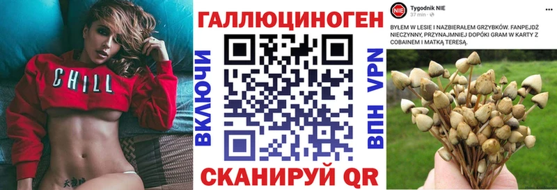 Псилоцибиновые грибы ЛСД цены Братск